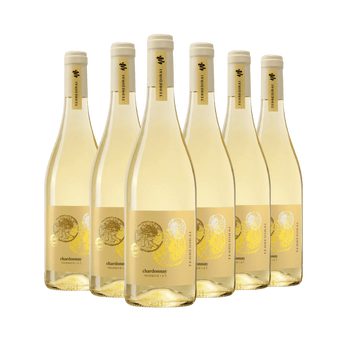 Terre di Rai Chardonnay delle Venezie