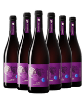 Terredirai Merlot