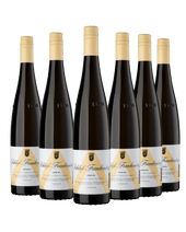 Riesling Schloß Frankenberg