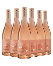 Pinot Grigio delle Venezie BLUSH Rosé