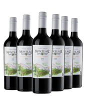 Syrah Colección de Familia Fairtrade & BIO