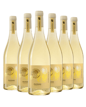 Chardonnay delle Venezie