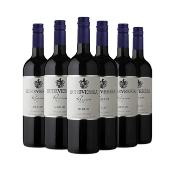 Echeverria Merlot Reserva