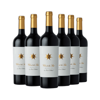 Clos de los Siete Malbec by Michel Rolland