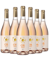 OR-ANGE orange wine