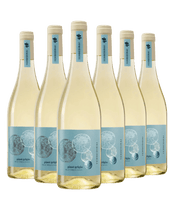 Terre di Rai Pinot Grigio delle Venezie