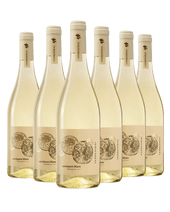 Sauvignon Blanc delle Venezie