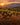Oude wijnstokken in Rioja, Spanje, bij zonsondergang